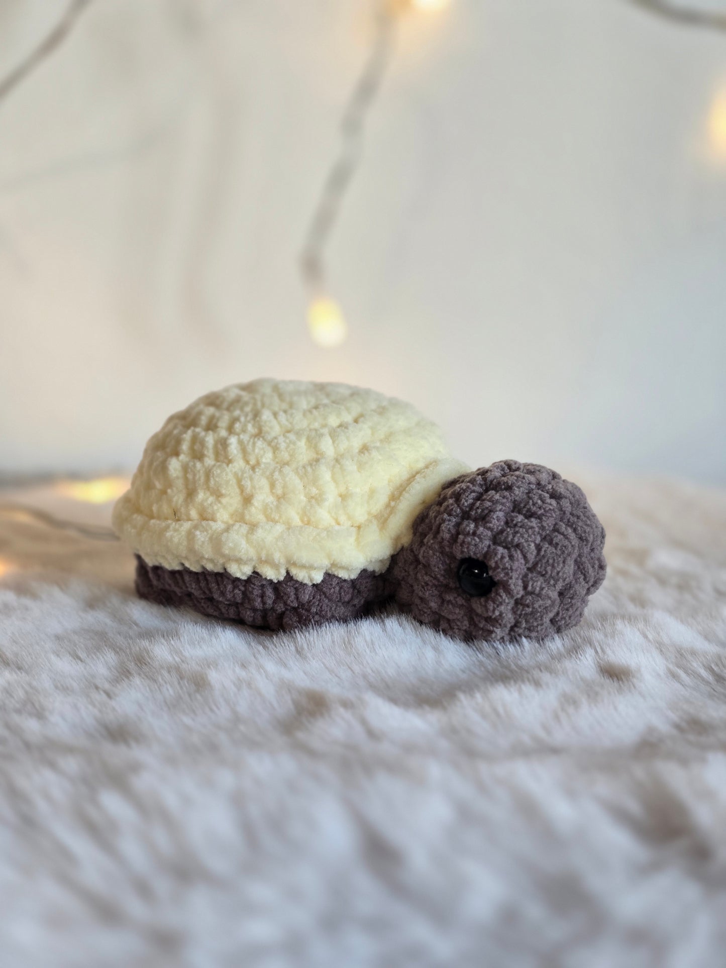Mini Schildkröte "Sally"