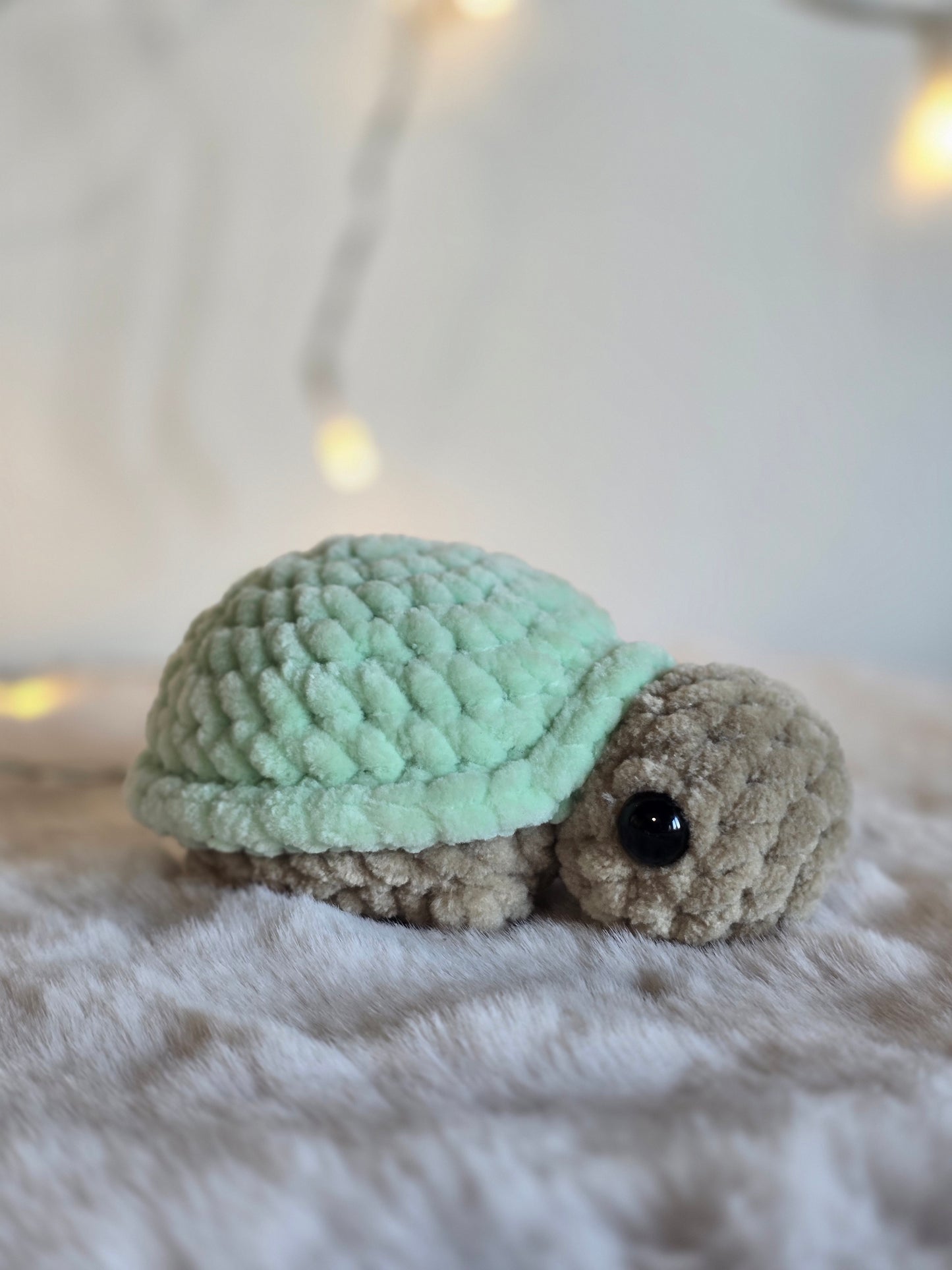 Mini Schildkröte "Sami"