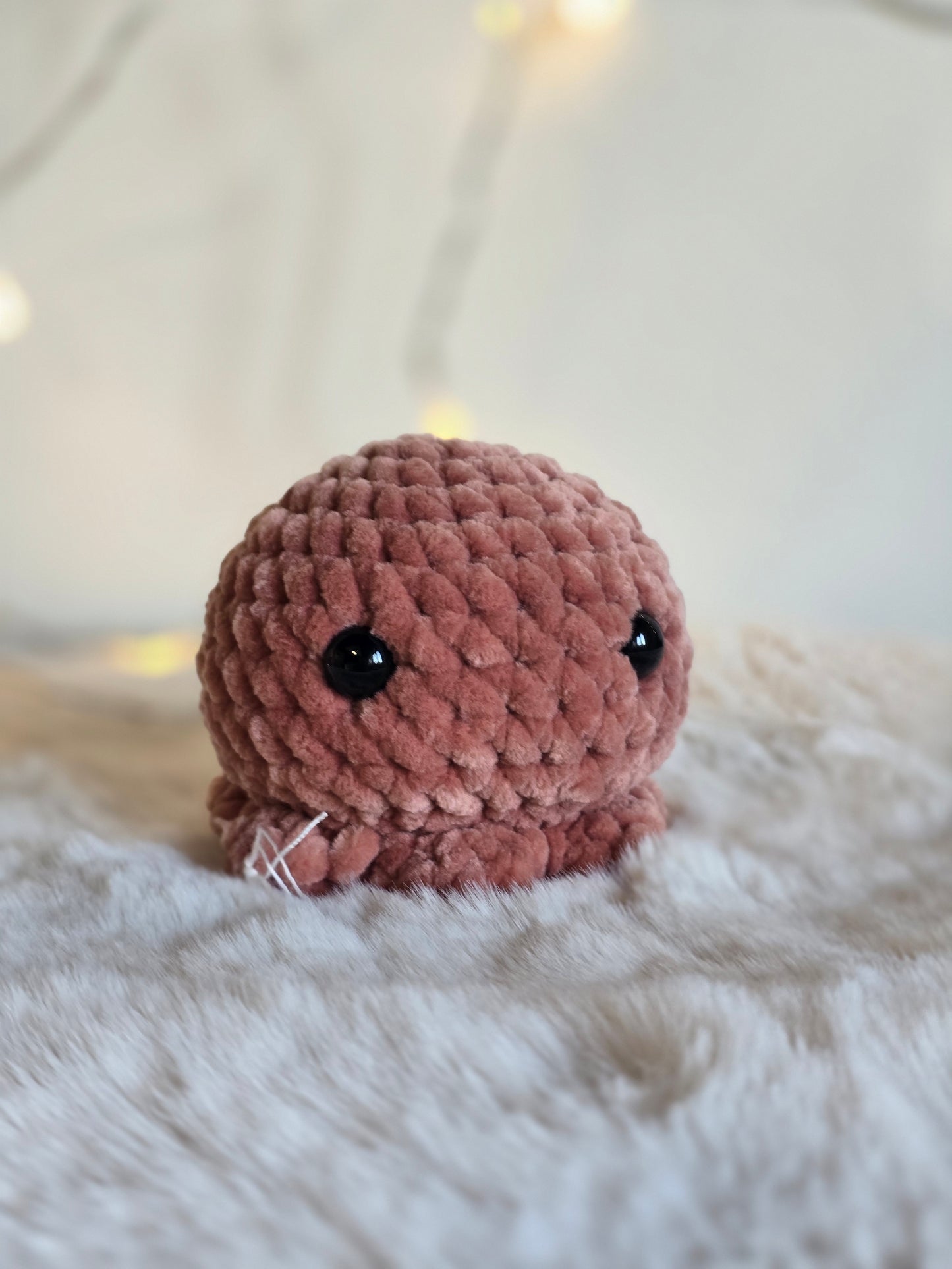 Octopus Rost