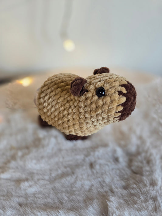 Capybara "Cara"